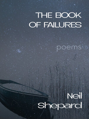 cover image of The Book of Failures